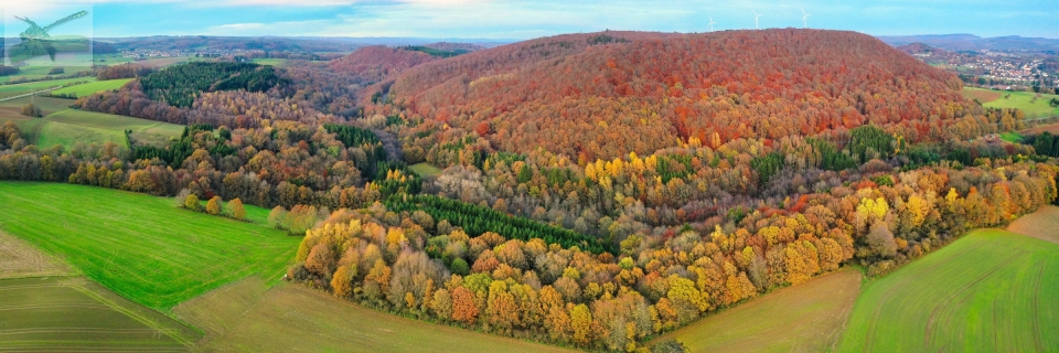 23Nov19-bei Gronig-Pan548